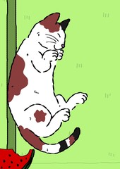 青畳の上で寝る猫とスイカ