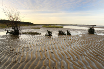 Im Wattenmeer