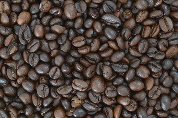 Coffee Bean Background