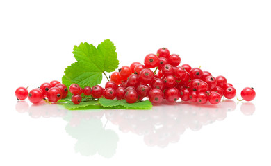 ripe red currants on a white background with reflection