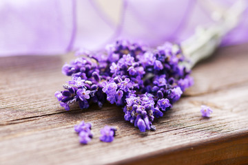 Lavendel, lavender