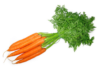 fresh carrots on white background