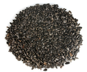 sunflower seeds on white background close-up