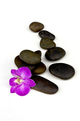 spa hot stone massage