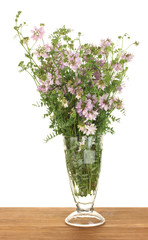 bouquet of vicia in a transparent vase