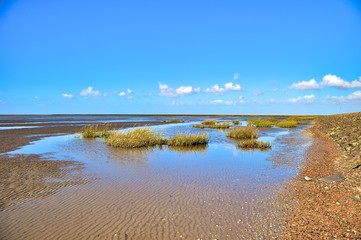 Landschaft am Nordseedeich