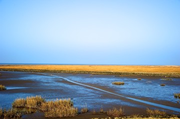 Landschaft am Nordseedeich