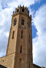 Fototapeta na wymiar The Cathedral of St. Mary of La Seu Vella