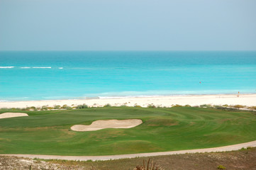 Golf field near beach of the luxury hotel, Saadiyat island, Abu - 42683222