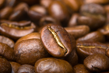 Closeup of coffee beans