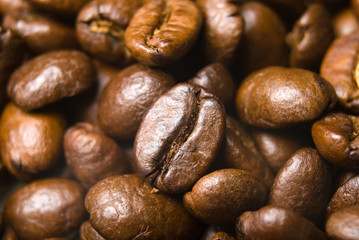 Closeup of coffee beans