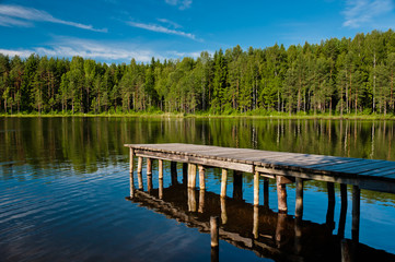 Wooden pier with forest scene