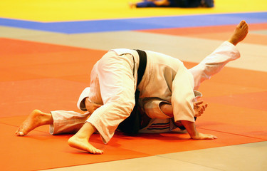 judo