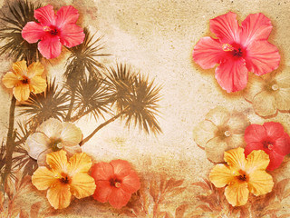 tropical hibiscus background © matttilda