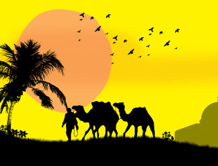 Camels in Sahara