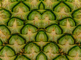 Fototapeta premium Pineapple skin close up Peel Background