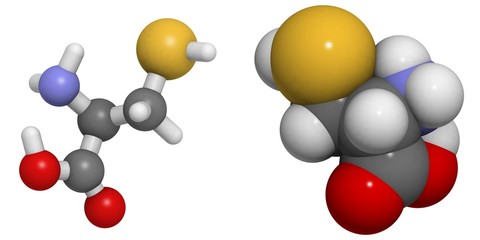 Cysteine (Cys, C) molecule