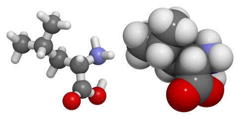 Leucine (Leu, L) molecule