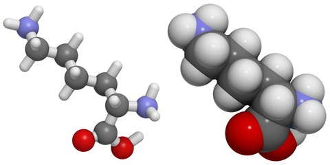 Lysine (Lys, K) molecule