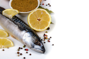 Raw mackerel