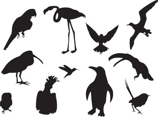 silhouettes of birds
