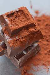 Dark chocolate chunks and cocoa powder