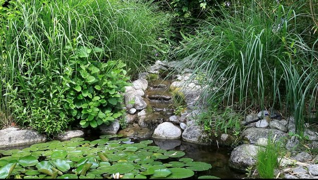 petit bassin de jardin