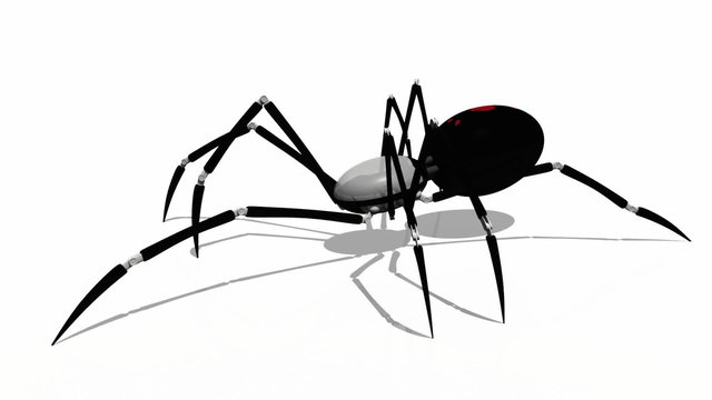 クモ