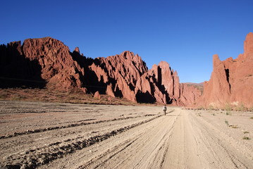 Desert, andean landscape with canyon, Tupiza, Bolivia