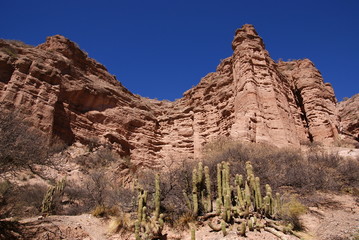 Fototapeta premium Desert, andean landscape with canyon, Tupiza, Bolivia