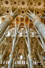 Obraz premium Sagrada Familia