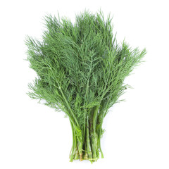 dill isolated on white background