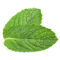 mint leaves