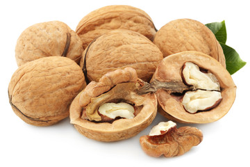 Walnut