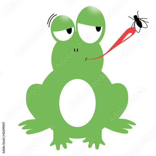 frosch fliege frosch fliege
