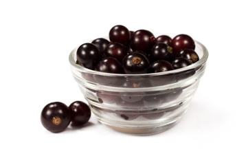 black currant fruit