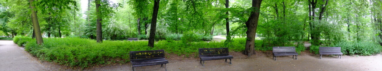 Park in spring time - 42702621