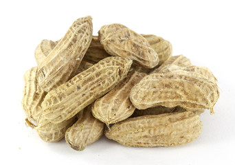 groundnut