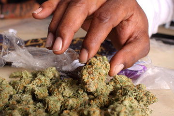 Pile of medical marijuana on a table.