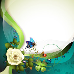 Background with rose, butterfly and drops of water