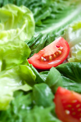 green salad with tomato slices