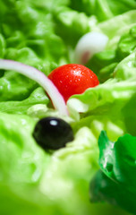Obraz na płótnie Canvas green salad with olive and tomato