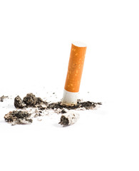 cigarette butt on white