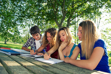 Teeneger students working together at park