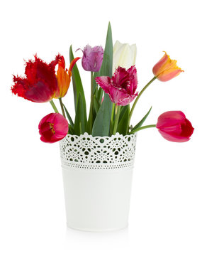 Multicolored tulips in flowerpot