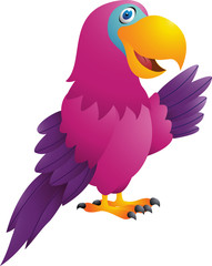 Funny Parrot Cartoon