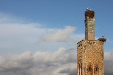 Cigueñas en mezquita