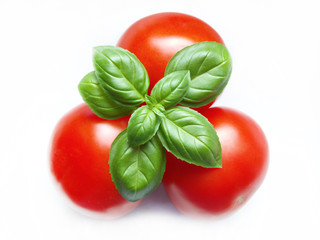 pomidory i bazylia