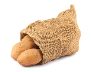 Fresh raw potatoes in burlap sack