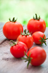 Freshly harvested summer cherry tomatoes on wooden background